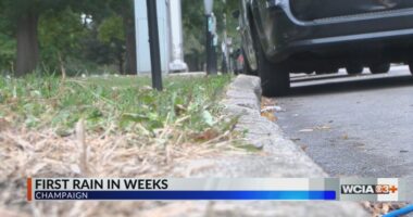 Illinois climatologist: Rain won't change drought conditions