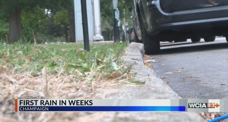 Illinois climatologist: Rain won't change drought conditions