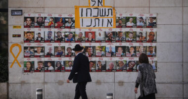 Israel news: IDF says it will advance preparations for 1st phase of Donald Trump's plan to end Gaza war, return Hamas hostages