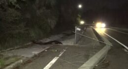 JSO: Teen killed in hit-and-run crash on Arlington Road