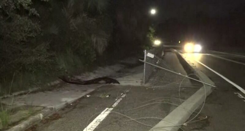JSO: Teen killed in hit-and-run crash on Arlington Road