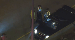 Jackine L. Austin ID'd as driver killed after piece of metal crashes through windshield on Dan Ryan, officials say