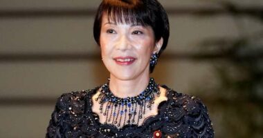 Japan's first female governing-party leader is an ultra-conservative star in a male-dominated group