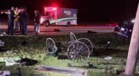 Buggy destroyed in crash in Adams County