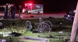 Buggy destroyed in crash in Adams County