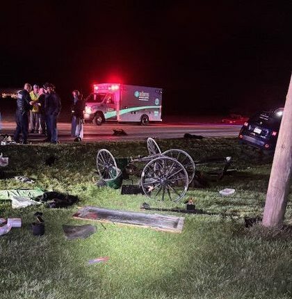 Buggy destroyed in crash in Adams County