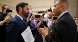 Jeffries, Lawler get into confrontation over ObamaCare: 'You're embarrassing yourself'