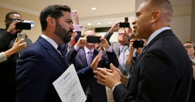 Jeffries, Lawler get into confrontation over ObamaCare: 'You're embarrassing yourself'