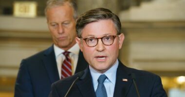 Johnson cancels House votes next week, pressuring Senate Democrats to end shutdown