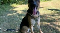K9 helps find two missing children in Indiana
