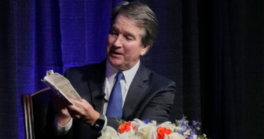 Kavanaugh’s attempted assassin sentenced to 8 years in prison