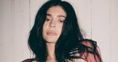 Kylie Jenner dares to bare in sheer lace outfit in racy snaps