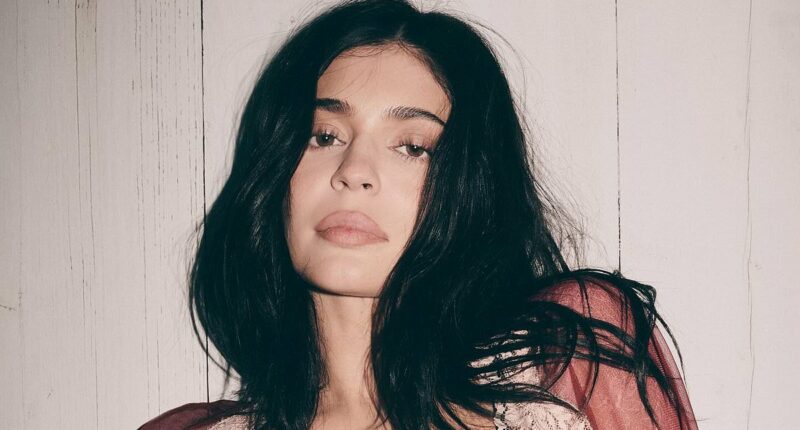 Kylie Jenner dares to bare in sheer lace outfit in racy snaps