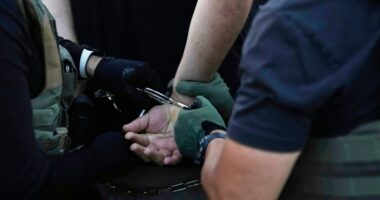 Lawsuit filed against immigration authorities after U.S. citizen's arrests in raids