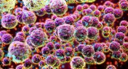Little-known bacteria causing increasing rates of potentially deadly infections