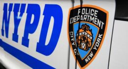 Man, 19, accused of decapitating stepfather in New York home