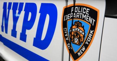 Man, 19, accused of decapitating stepfather in New York home