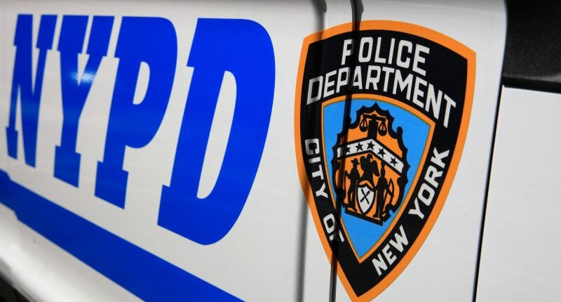 Man, 19, accused of decapitating stepfather in New York home