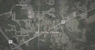 Man in wheelchair killed in crash on Jacksonville's Southside, JSO says