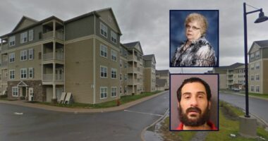 Man killed 88-year-old neighbor with a hammer
