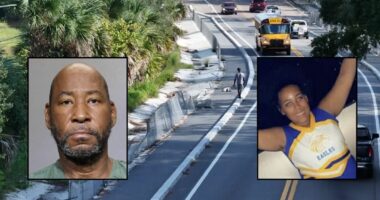 Man plowed into teen girl then crashed through fence: Police