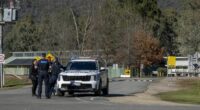 Man, property cleared after police operation in search of Dezi Freeman