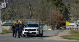 Man, property cleared after police operation in search of Dezi Freeman
