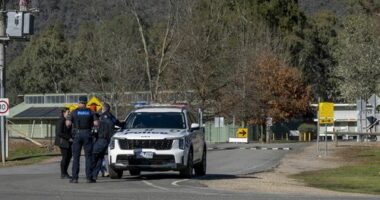 Man, property cleared after police operation in search of Dezi Freeman