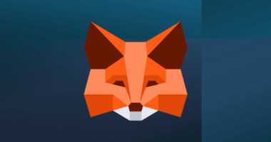 Metamask Confirms Token Launch
