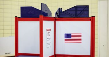 Missing New York politician's name to still appear on ballot
