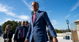 Moderate Democrats at center of shutdown pressure campaign