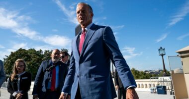 Moderate Democrats at center of shutdown pressure campaign