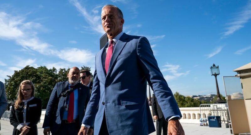 Moderate Democrats at center of shutdown pressure campaign