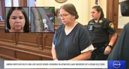 Mom ordered son into lake, watched him 'go under': Cops