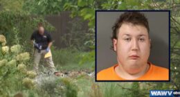 Mom's spinal cord found in backyard burn pit, son arrested