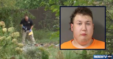 Mom's spinal cord found in backyard burn pit, son arrested