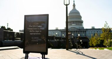 Most Americans believe the shutdown will last two weeks or less: Survey