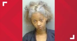 Mother charged with murder after son dies from getting head stuck in car window