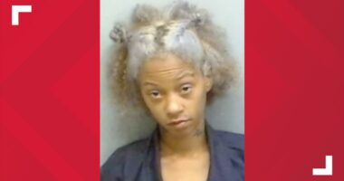 Mother charged with murder after son dies from getting head stuck in car window