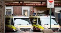 Emergency bay at the Royal Prince Alfred Hospital