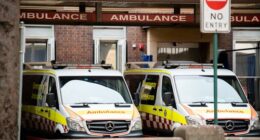 Emergency bay at the Royal Prince Alfred Hospital