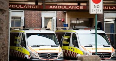 Emergency bay at the Royal Prince Alfred Hospital