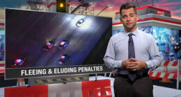 New Florida law increases punishment for fleeing law enforcement. Here’s the breakdown