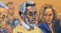 OJ Simpson's lawyer weighs in on Diddy's sentencing blasting 'arrogant' rap mogul for treatment of judge