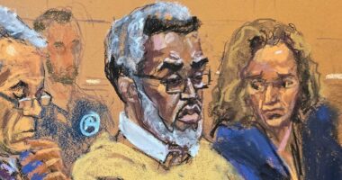 OJ Simpson's lawyer weighs in on Diddy's sentencing blasting 'arrogant' rap mogul for treatment of judge