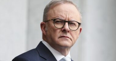 PM wants quick fix to Chinese ban on BHP iron ore cargoes