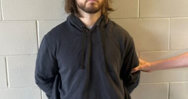 Palisades Fire suspect's behavior typical of arsonist, panel says