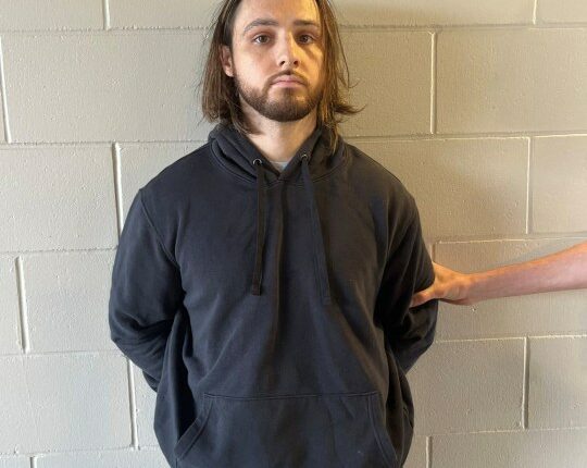 Palisades Fire suspect's behavior typical of arsonist, panel says