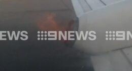 A mechanical fault caused a Rex Airlines plane wing to catch fire ﻿just moments before take-off, causing an emergency that temporarily shut down operations at a busy international airport.