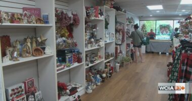 Piatt Co. non-profit raising awareness about domestic violence